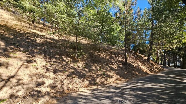 93 Park Dr, Running Springs, CA 92382