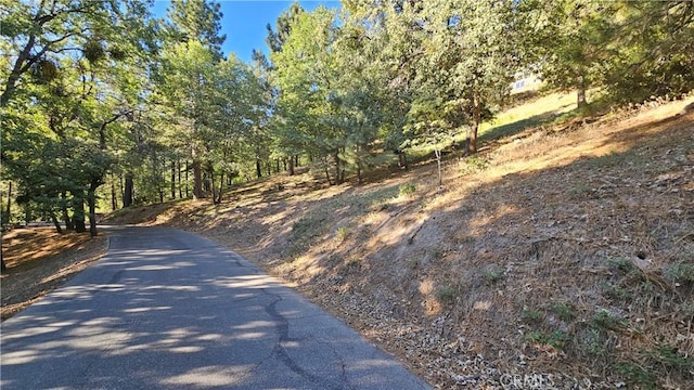 93 Park Dr, Running Springs, CA 92382