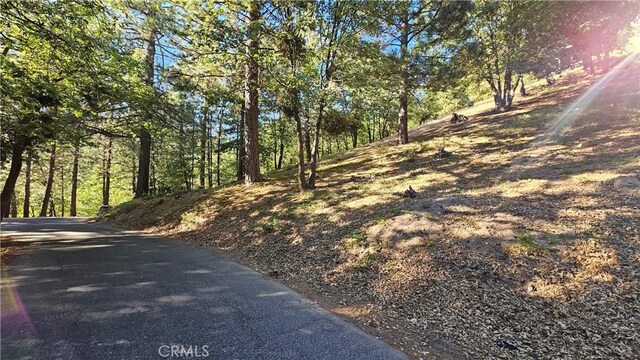 93 Park Dr, Running Springs, CA 92382