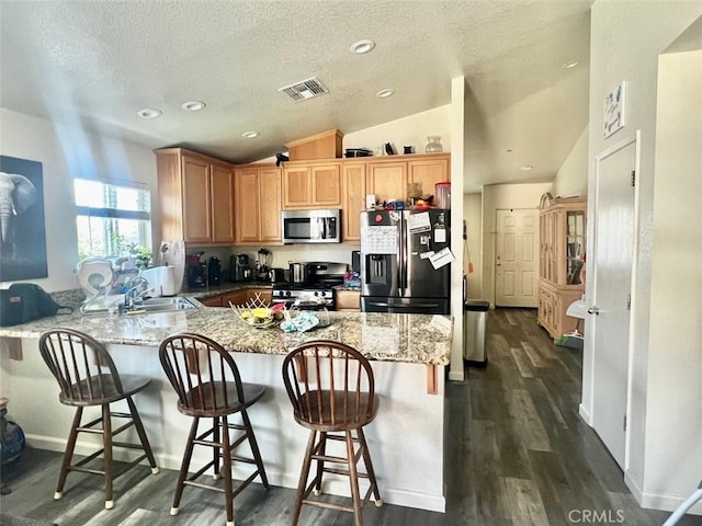 kitchen featuring lofted ceiling, sink, dark hardwood / wood-style floors, kitchen peninsula, and stainless steel appliances