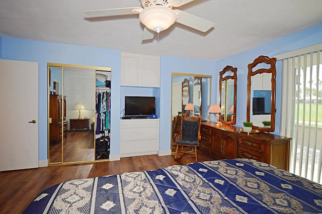 bedroom with two closets, dark hardwood / wood-style floors, and ceiling fan