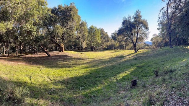 0 Spanish Ranch Rd, Los Gatos CA, 95033 land for sale