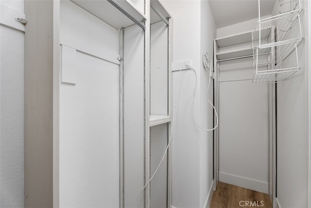 walk in closet with hardwood / wood-style floors