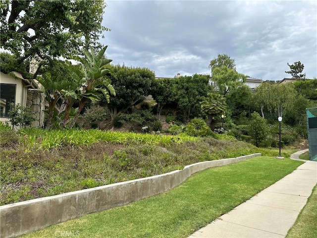 view of home's community featuring a yard