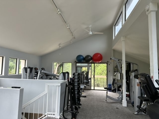 workout area with carpet, high vaulted ceiling, rail lighting, and ceiling fan