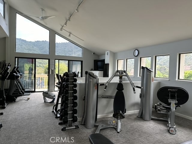 gym with rail lighting, ceiling fan, high vaulted ceiling, and carpet flooring