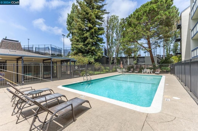 view of swimming pool with a patio area