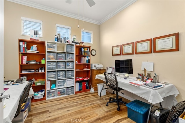 office area with ornamental molding, ceiling fan, and light hardwood / wood-style flooring