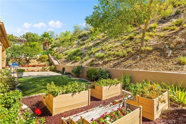 view of yard with a patio