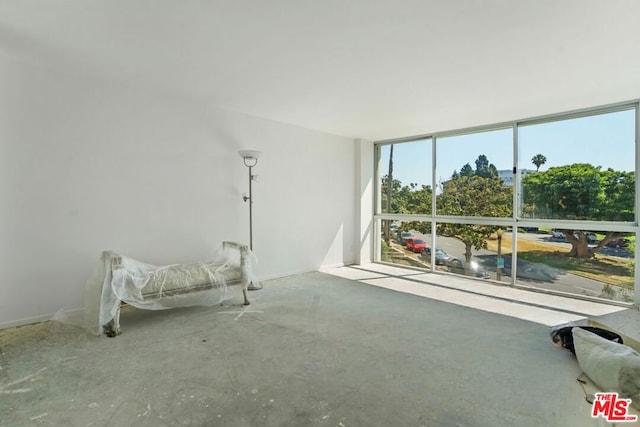 living area with concrete flooring and plenty of natural light