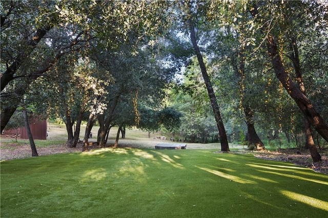 view of community with a lawn