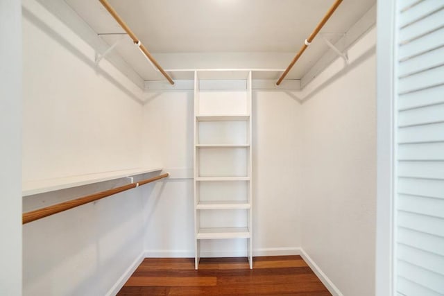 walk in closet with dark hardwood / wood-style flooring