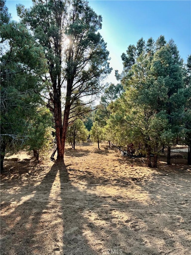 97390 Dome View Ave, Kennedy Meadows, CA 93527 - view of street
