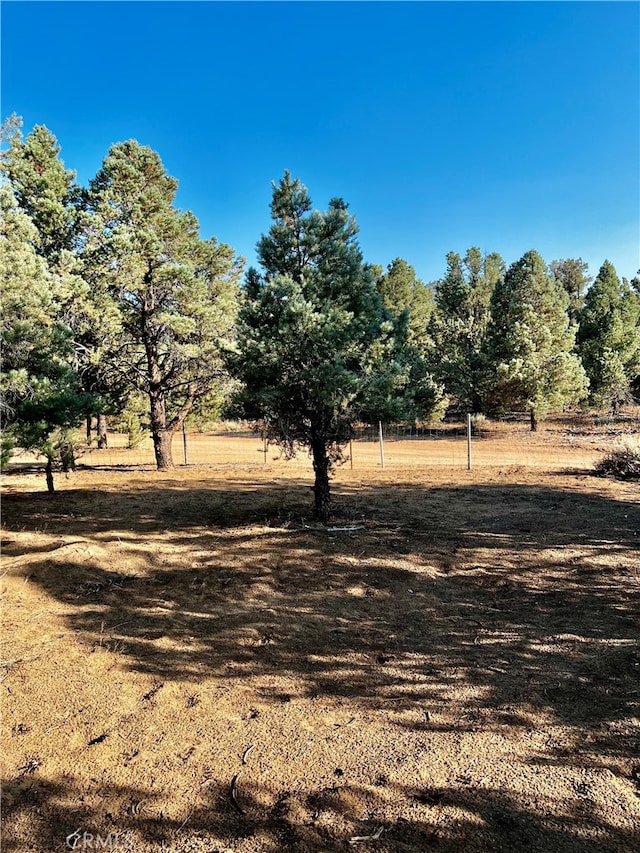 view of local wilderness with a rural view