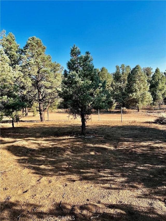 97390 Dome View Ave, Kennedy Meadows, CA 93527 - view of yard