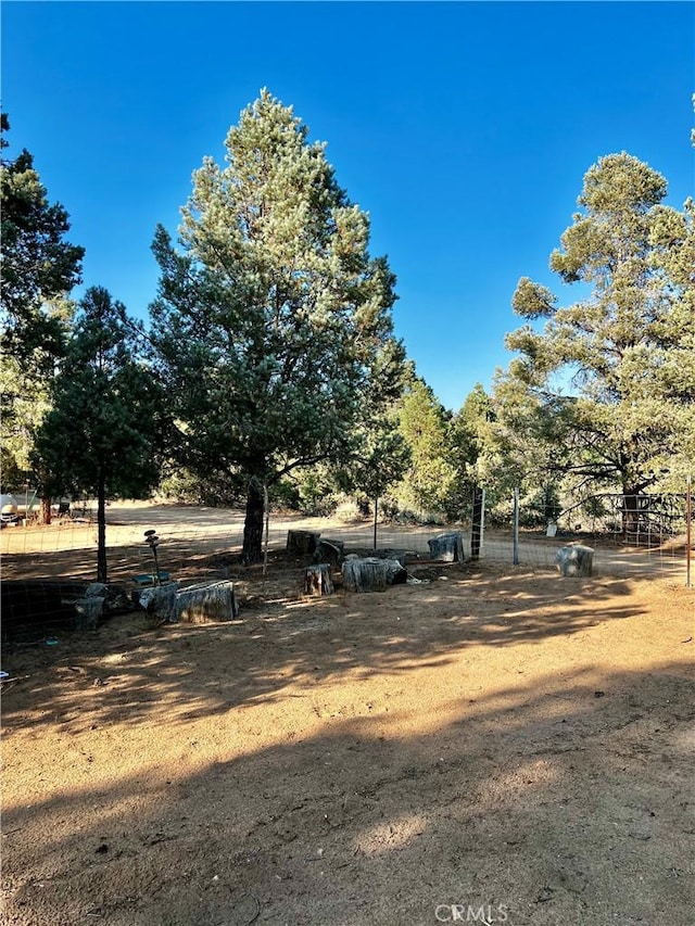 97390 Dome View Ave, Kennedy Meadows, CA 93527 - view of yard
