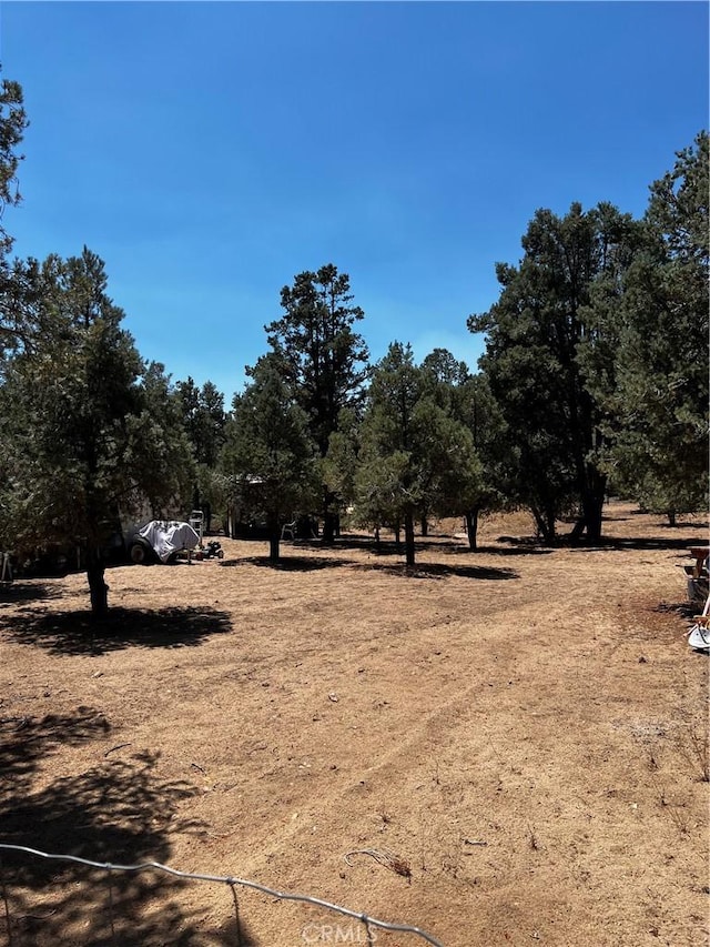 97390 Dome View Ave, Kennedy Meadows, CA 93527 - view of yard
