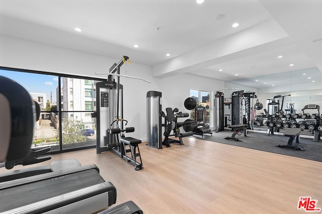 exercise room with light hardwood / wood-style floors