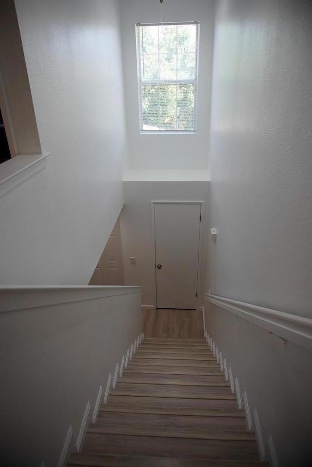 stairway with hardwood / wood-style flooring