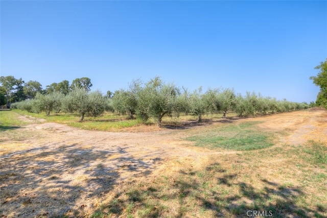 view of yard featuring a rural view