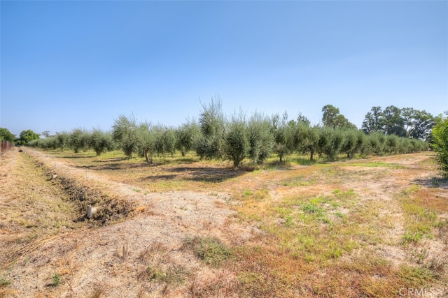 view of landscape with a rural view