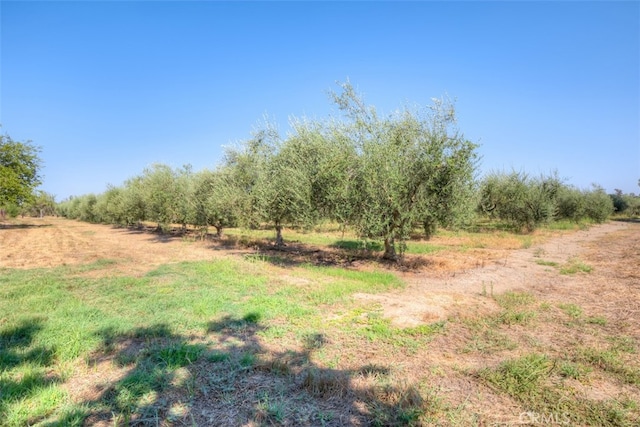 view of landscape featuring a rural view