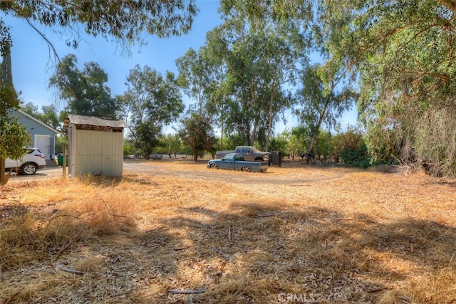 view of yard featuring a storage shed