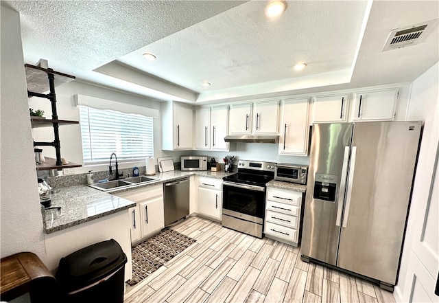 kitchen with a raised ceiling, white cabinetry, stone counters, sink, and stainless steel appliances