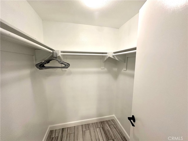 spacious closet with wood-type flooring