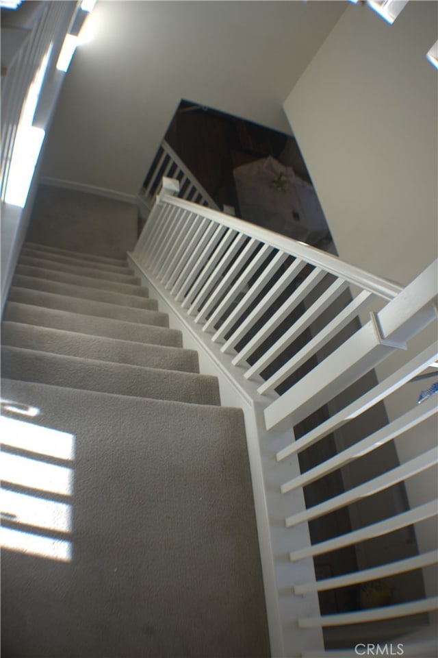 stairway featuring carpet floors