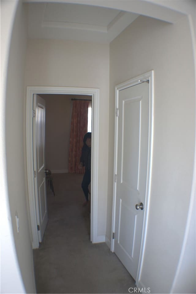 corridor featuring carpet flooring