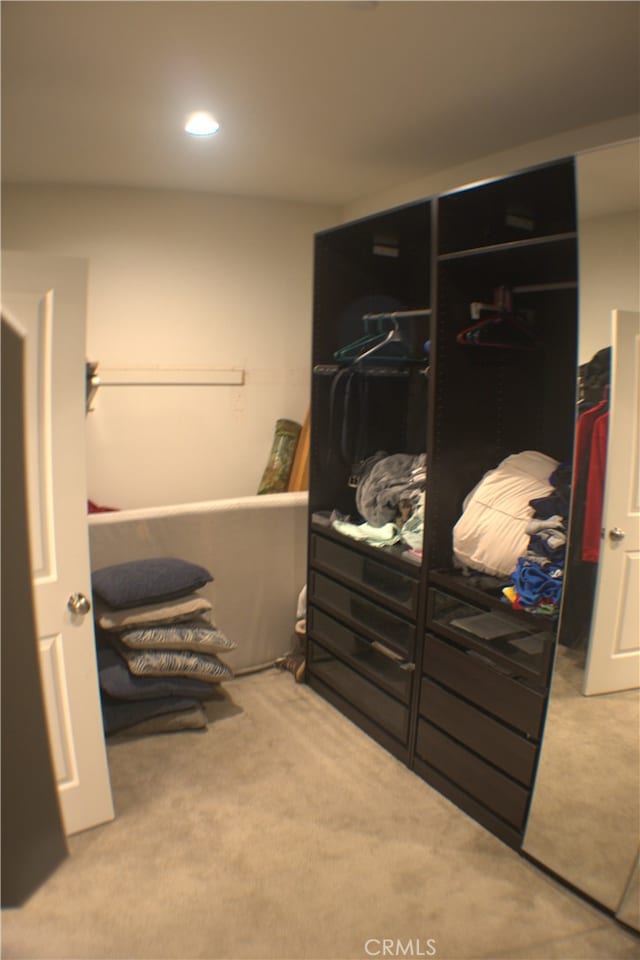 walk in closet with carpet