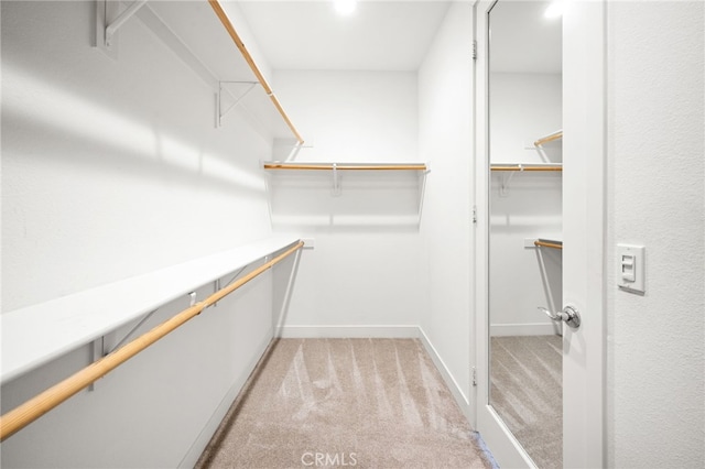 walk in closet featuring light colored carpet