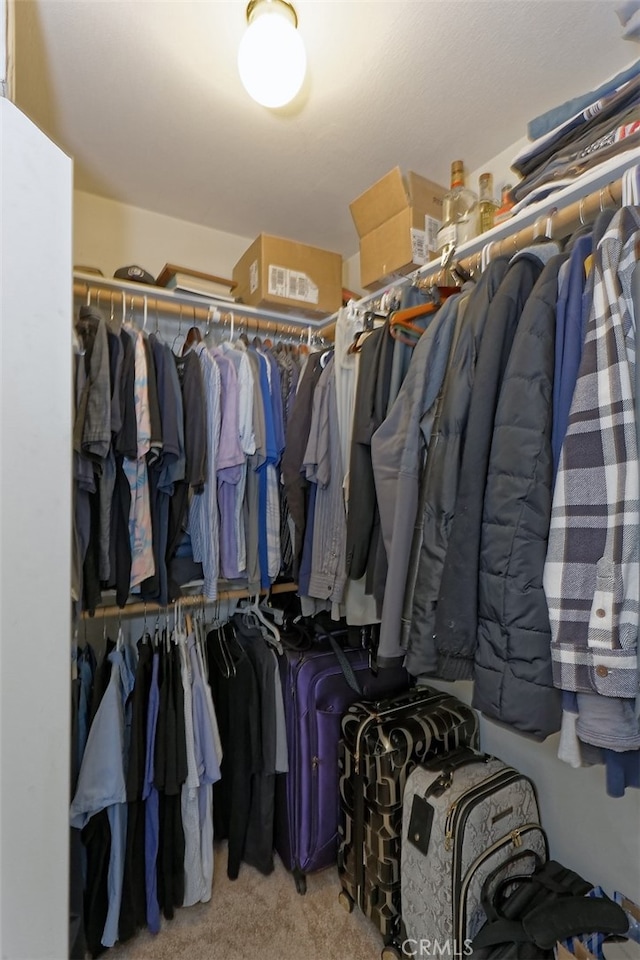 spacious closet with light carpet