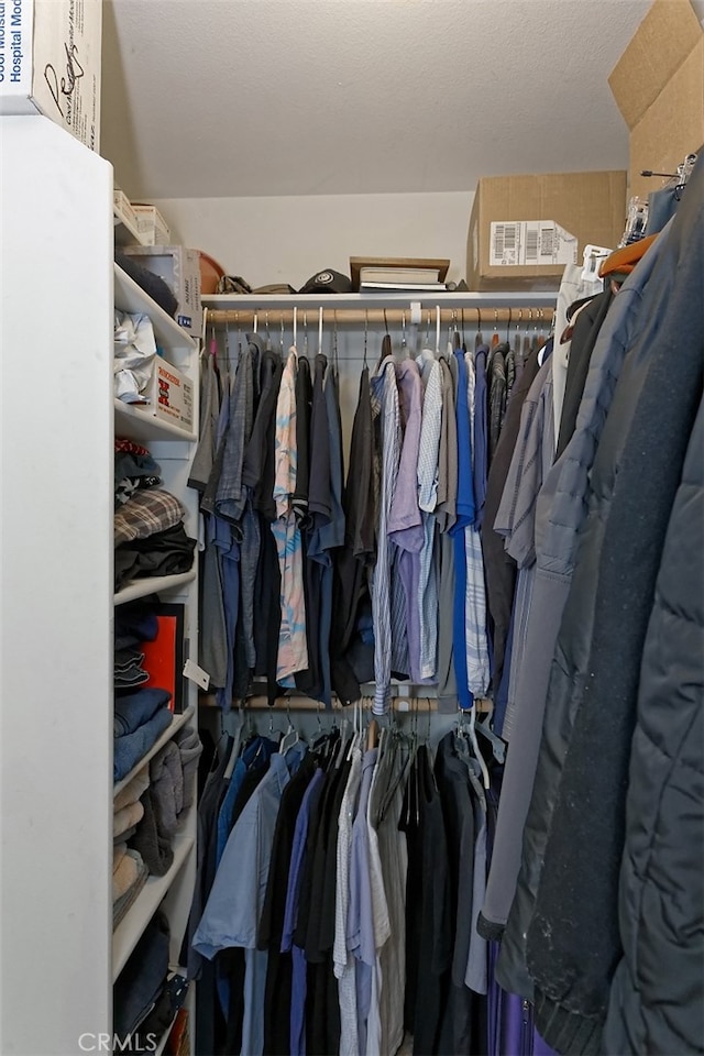 view of walk in closet