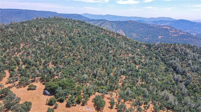 view of mountain feature