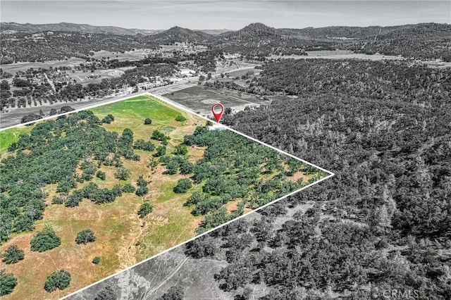 drone / aerial view featuring a mountain view