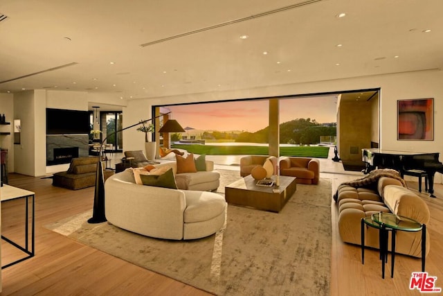 living room with light wood-type flooring