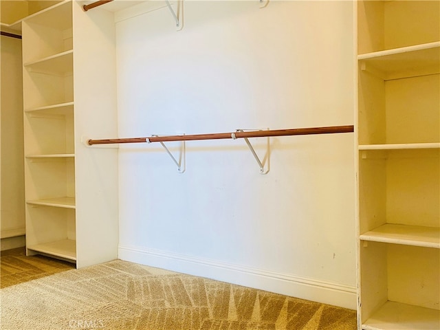 spacious closet featuring carpet flooring