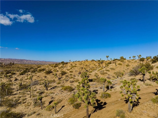 Listing photo 3 for 58980 Santa Barbara Dr, Yucca Valley CA 92284