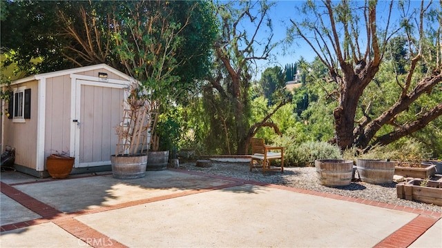 view of patio / terrace featuring a storage shed