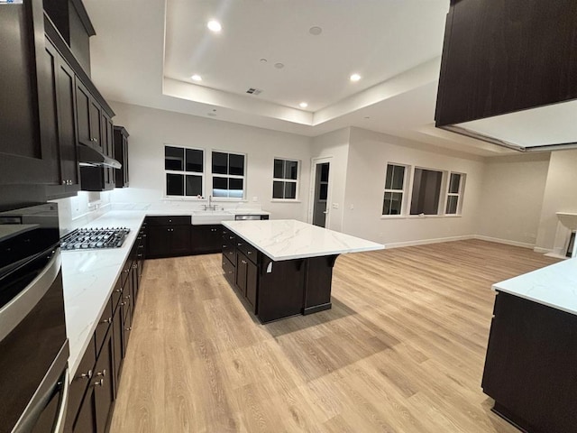 kitchen featuring a raised ceiling, appliances with stainless steel finishes, light wood-type flooring, a kitchen bar, and a kitchen island