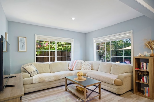 living room featuring light hardwood / wood-style flooring