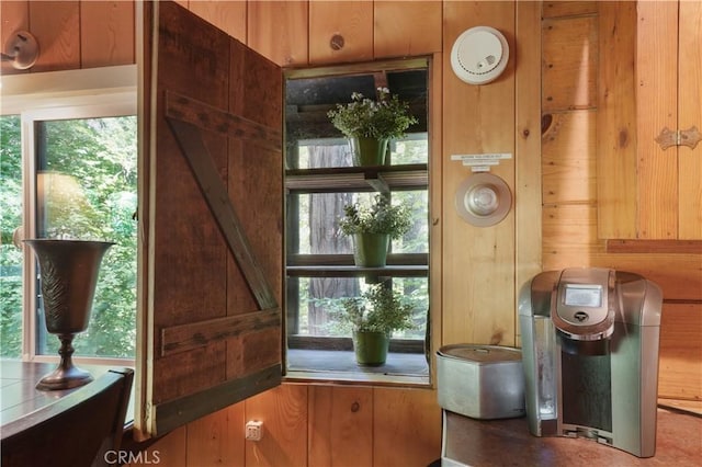 doorway featuring plenty of natural light and wooden walls