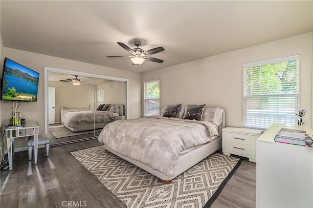 bedroom featuring multiple windows, dark hardwood / wood-style floors, ceiling fan, and a closet