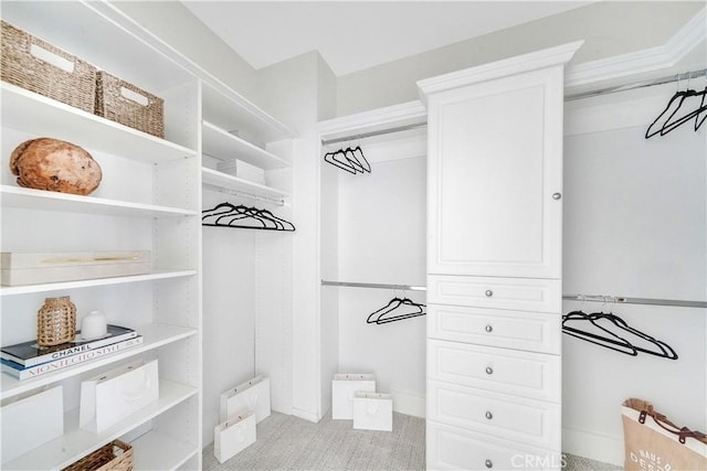 walk in closet with light carpet