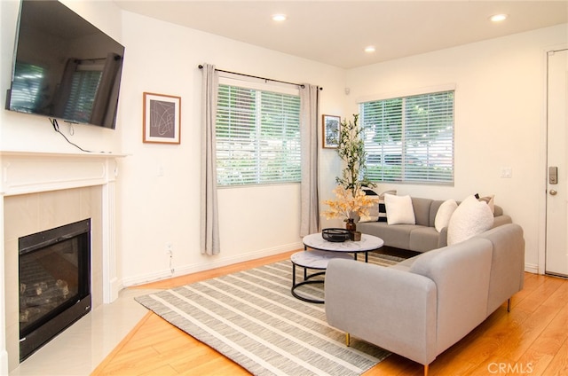 living room featuring plenty of natural light and light hardwood / wood-style flooring