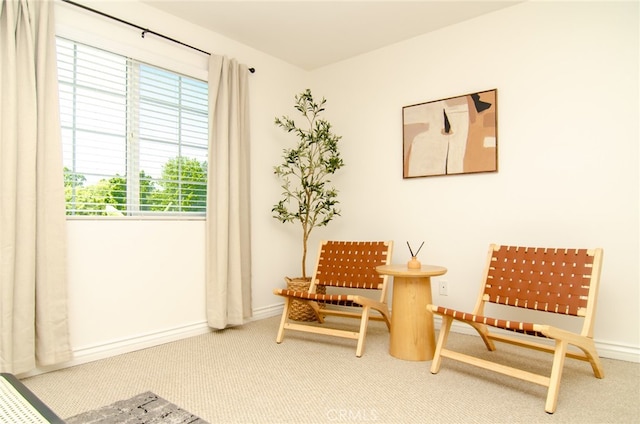 sitting room featuring carpet flooring