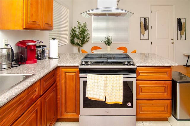 kitchen featuring stainless steel gas stove, sink, and range hood