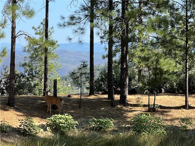 view of nature with a mountain view